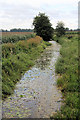 Drainage ditch at Fodderfen Drove