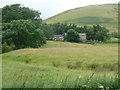 Low Sprintgill home field and Harter Fell