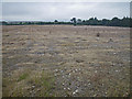 Stony level field at Nether Craigwell