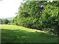 Field beside the Spean