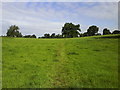 Public Footpath through Meadow