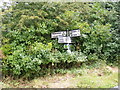 TM3464 : Roadsign on the B1119 Low Road by Geographer