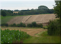 View across fields