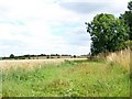 Footpath, Allington