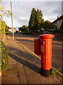 SZ0290 : Poole: postbox № BH14 46, Orchard Avenue by Chris Downer