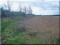 Public footpath near Nut Wood