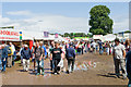 Avenue beside Arcade West, New Forest Show 2009