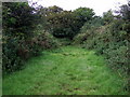 Scoveston fort approach