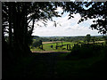 Field and gate near path