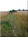 Bridleway near Sixpenny Handley