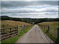 The drive to Llansantffraed Court Hotel