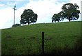 Hilly pasture near Bettws Newydd