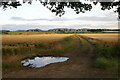 Track towards the River Isla, Islabank, near Coupar Angus