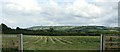 Newly-cut hay in a field, with a view