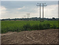 Large field near Crouch House