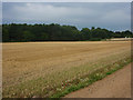 Field south of Broomfield Covert