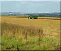 Harvesting near Santon Wood