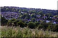 Looking across Littleworth from Wheatley windmill