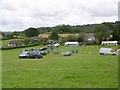 Dog show preparation, Chicksgrove