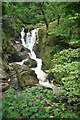 Stream near Tobermory, Mull