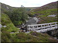 NO3980 : Looking up Glen Lee with the footbridge over the Water of Lee in the foreground by Mike Dunn