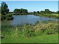 Lake Near Highbridge