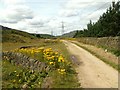 Trans Pennine Trail West