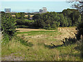 Fields in Wick