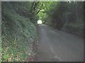 Resembling a rail tunnel this road leads to West Hoathly church