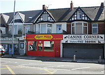 ST3288 : Perfect Pizza and Canine Corner, Newport by Jaggery