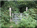 Kissing Gate near Jackson