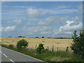 Fields Near Pont Cefn Coch