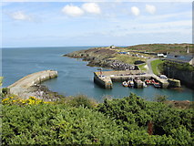 SH4593 : Amlwch Port From The Headland by Peter Whatley