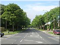 Bradley Road - viewed from Redwood Drive