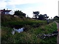 NZ4437 : Pond adjacent Haswell to Hart cycle track by Roger Smith