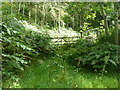 Bracken encroaches on a gateway