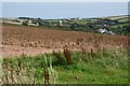 View over Galmpton