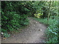 Bend in bridleway behind Rudolf Steiner School