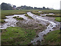 Saltmarsh at Warsash