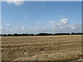 Stubble near West Farm in North Yorkshire, situated on the A19 west of Thimbleby