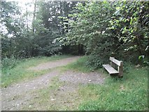 T2398 : Bench in the Devil's Glen Forest Park by JP