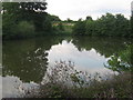 One of two ponds near Cork Wood