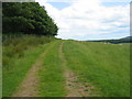 NU1016 : Bridleway and track near Titlington Mount by Les Hull