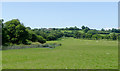 Pasture by the Teifi, near Tregaron, Ceredigion