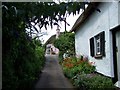 Footpath, Old Cleeve