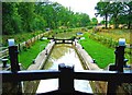 Brewhurst Lock looking west, Wey & Arun Canal