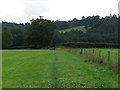 High Weald Landscape Trail descending from Pickeridge Farm