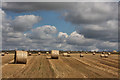 Harvested wheat field near Hockwold