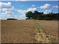 Footpath from Hadleigh