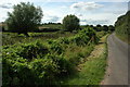 Road following Wells Brook